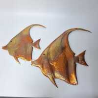 WALL FISH