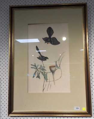 John Gould