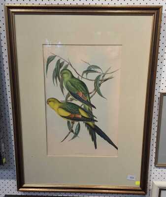 John Gould