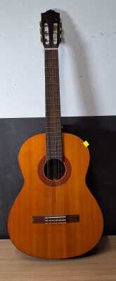 Acoustic Guitar