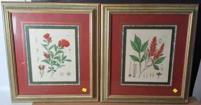 1120 · CHROMOLITHOGRAPHS