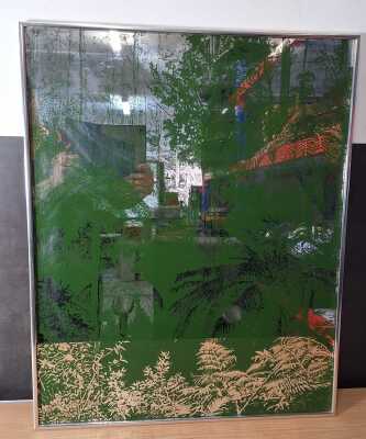 Jungle Mirror