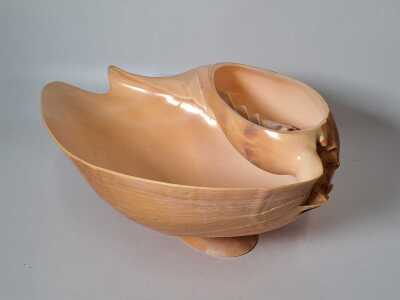 1293 · SHELL BOWL