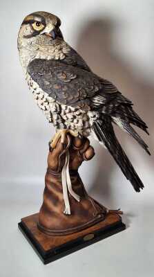 The Falconer