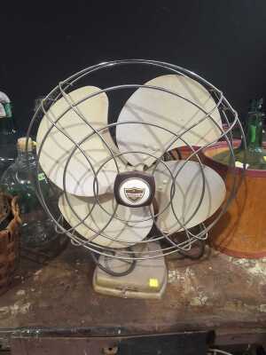 FAN