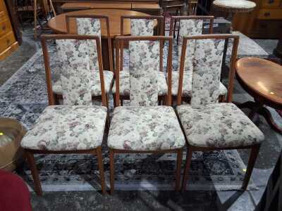 Dining Chairs