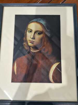 Framed Print