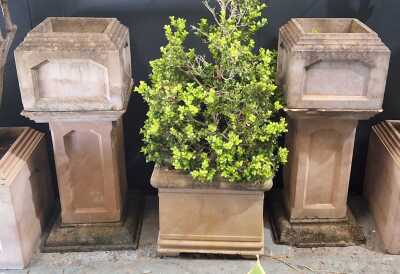 Planters On Pedestals