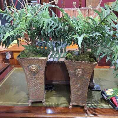 Faux Ferns