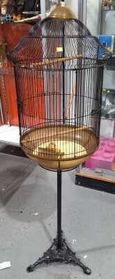 Bird Cage