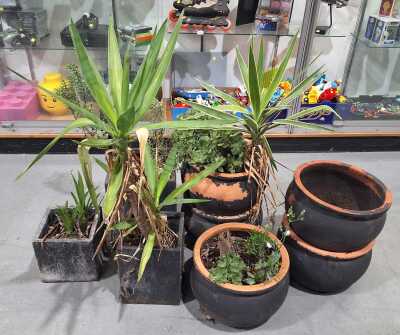 Garden Lot