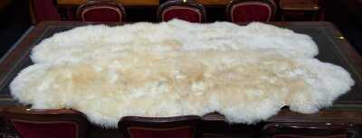 Sheepskin