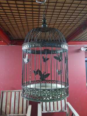 BIRD CAGE