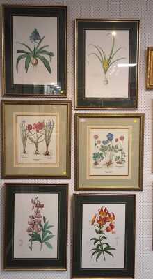 BOTANICAL PRINTS