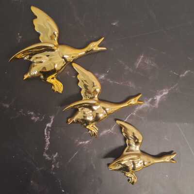 WALL DUCKS