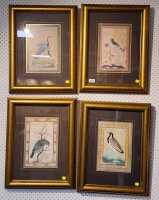 PRINT SET
