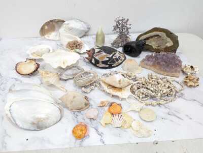 SHELLS AND MINERALS