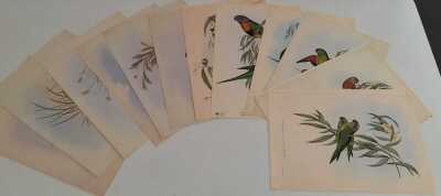JOHN GOULD