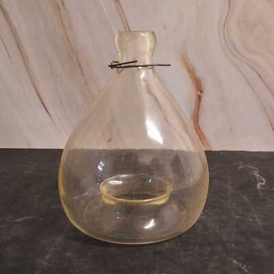 GLASS FLY TRAP