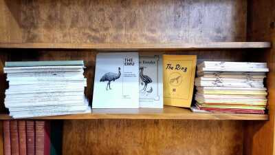 ORNITHOLOGISTS PUBLICATIONS
