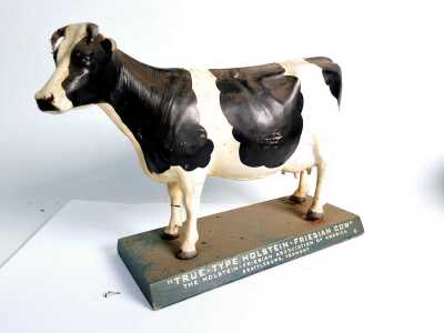 MODEL COW