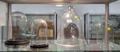 GLASS DOMES