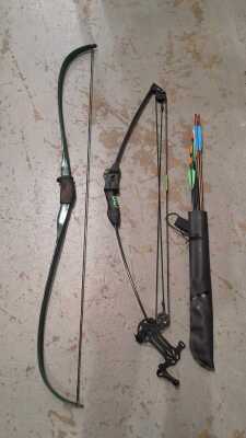BOWS