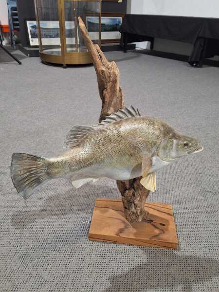 FISH ORNAMENT
