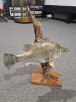 FISH ORNAMENT