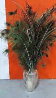 PEACOCK FEATHERS IN VASE