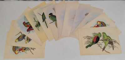 JOHN GOULD