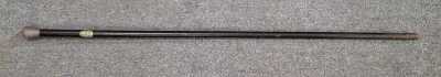 WALKING CANE