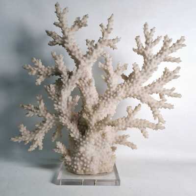 BEACH HOUSE DECOR