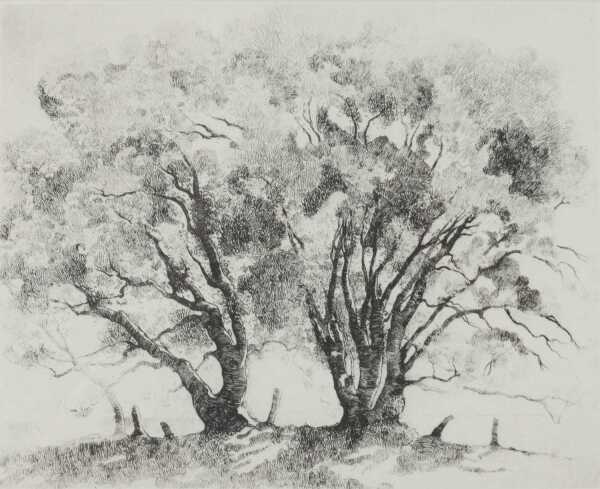 ADRIAN GEORGE FEINT (Australia, 1894-1971)