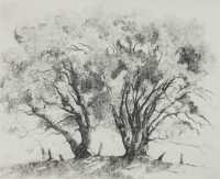 ADRIAN GEORGE FEINT (Australia, 1894-1971)