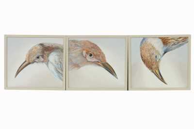 RITA HALL (Australia, 1947- )
