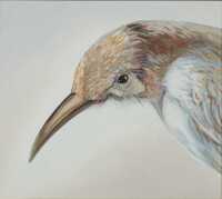 RITA HALL (Australia, 1947- ) - 2