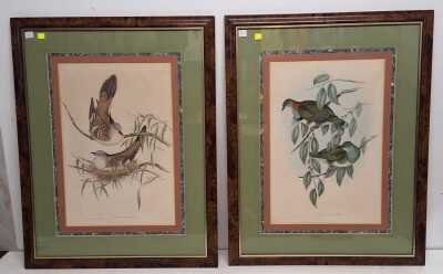 JOHN GOULD