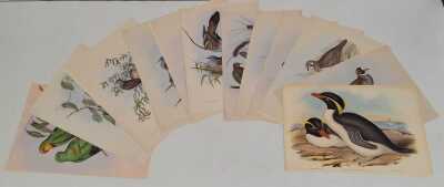 JOHN GOULD