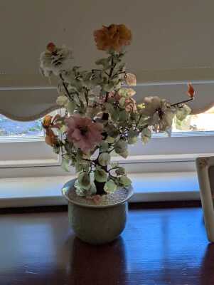JADE TREE