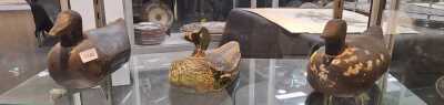 DECOY DUCKS