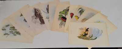 JOHN GOULD