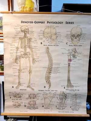 WALL CHART
