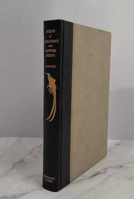 TOM IREDALE