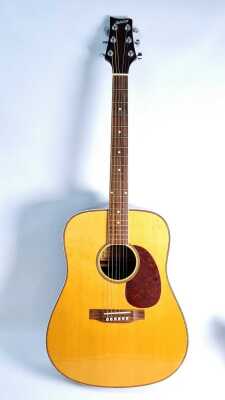 ASHTON GUITAR