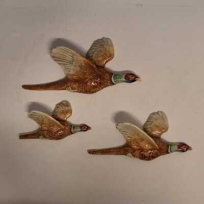 WALL BIRDS
