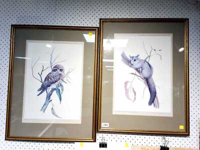 AUSTRALIAN WILDLIFE PRINTS