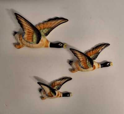 WALL BIRDS