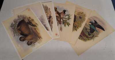 JOHN GOULD