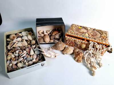 SHELLS